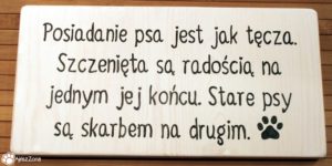 drewniane tabliczki z psimi cytatami