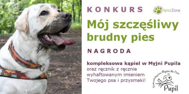 Wyniki konkursu Mój szczęśliwy brudny pies
