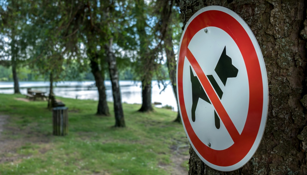 Tabliczki z zakazem wyprowadzania psów na terenie wspólnoty mieszkaniowej