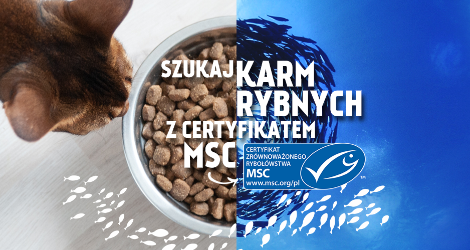 karmy dla psow i kotow z certyfikatem msc